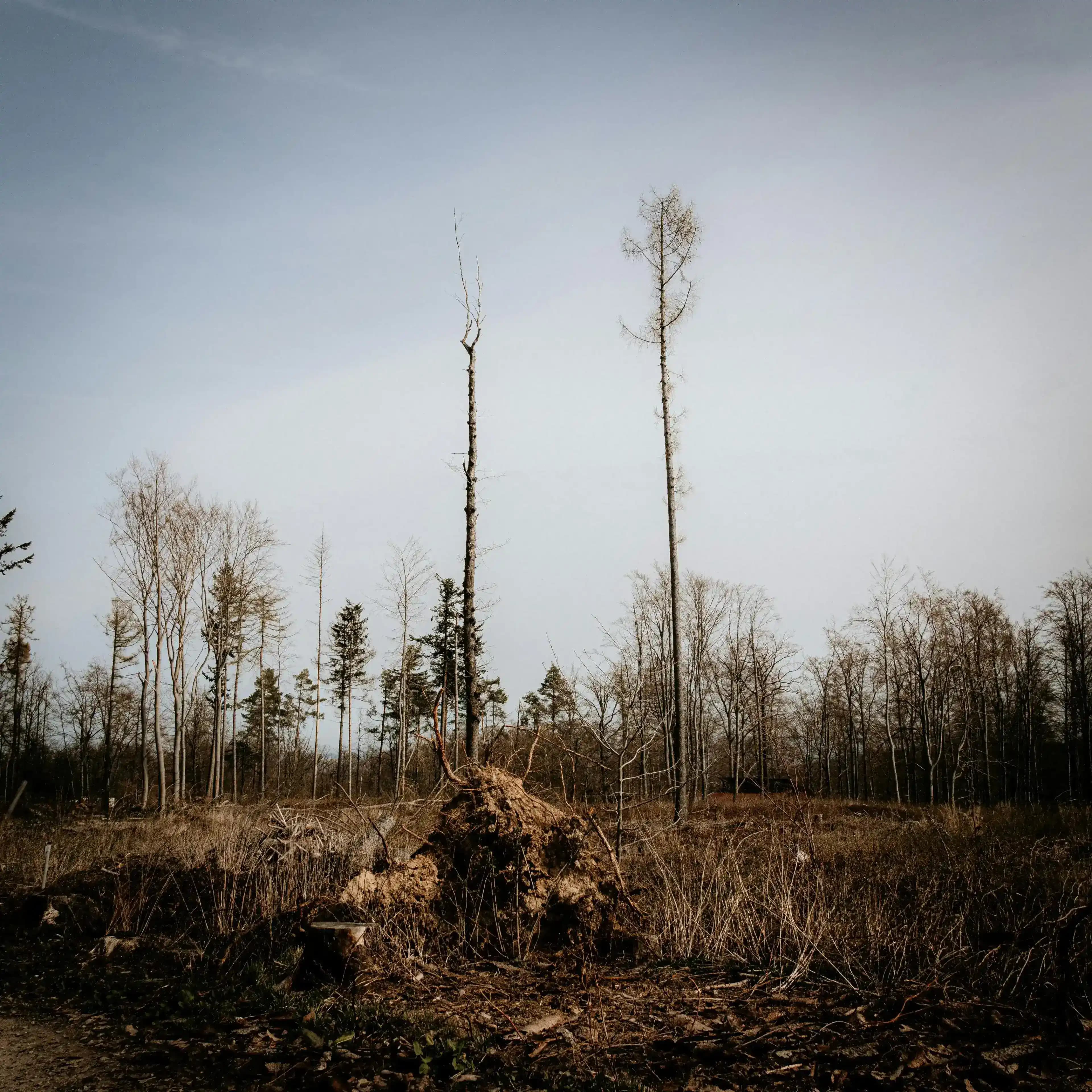 Կրկնակի խեղդվող քաղաքը. Երևանի էկոլոգիական ճգնաժամի անտեսված պատմությունը